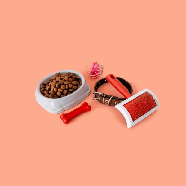 accessories4
